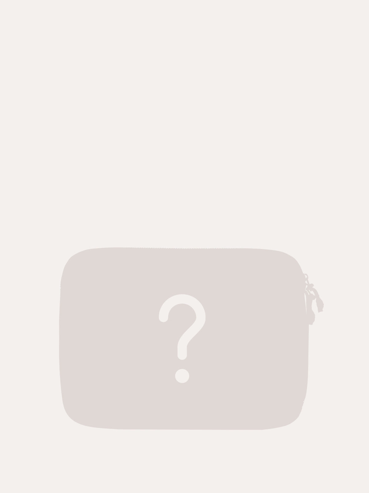 Accessory Mystery Box BAGSMART