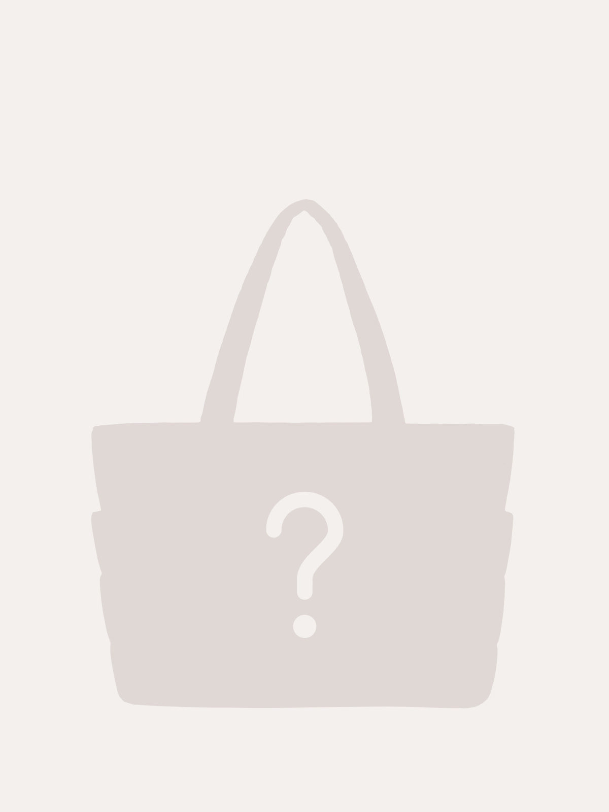 Tote Mystery Box BAGSMART