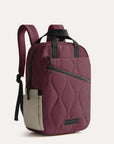 Paz 23L Backpack BAGSMART