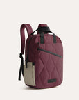 Paz 23L Backpack BAGSMART