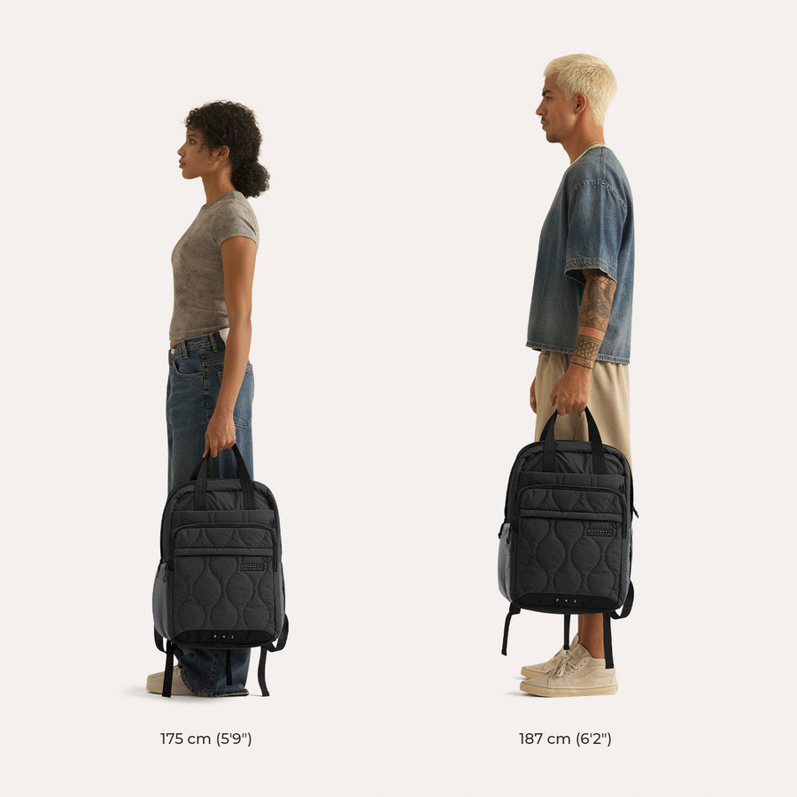 Paz 28L Backpack BAGSMART