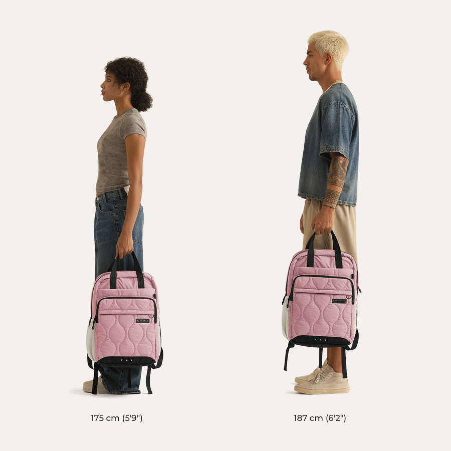 Paz 28L Backpack BAGSMART