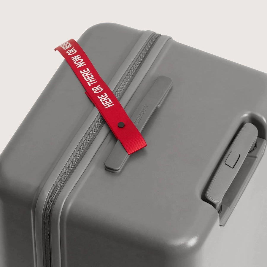 Getaway 30" Trunk BAGSMART