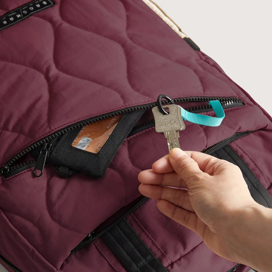 Paz 23L Backpack BAGSMART