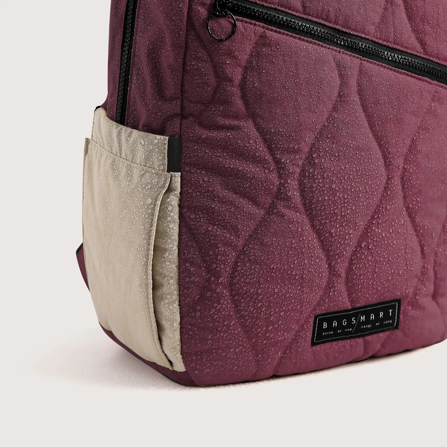 Paz 23L Backpack BAGSMART