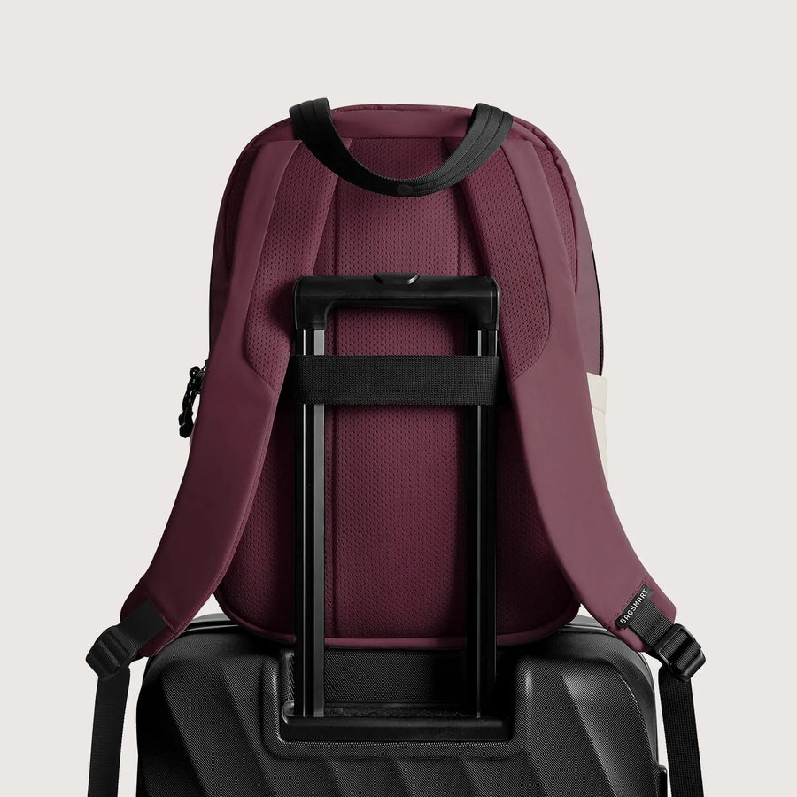 Paz 23L Backpack BAGSMART