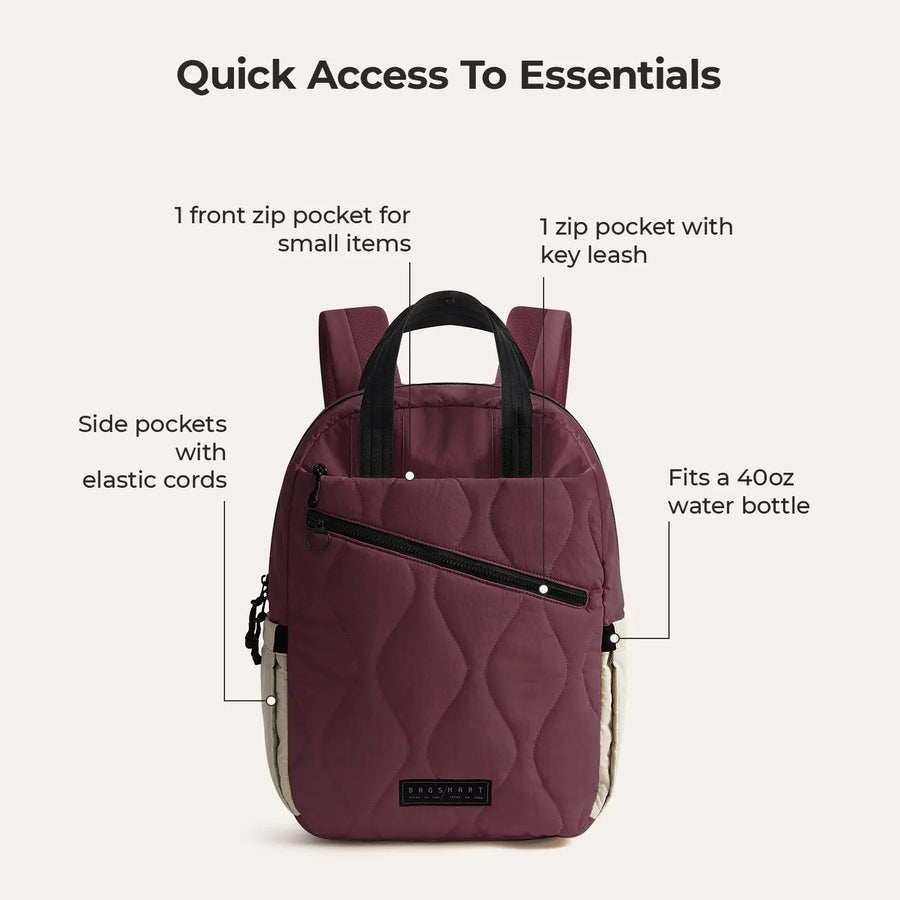 Paz 23L Backpack BAGSMART