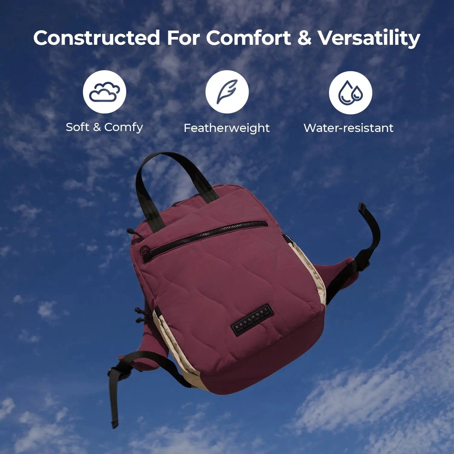 Paz 23L Backpack BAGSMART